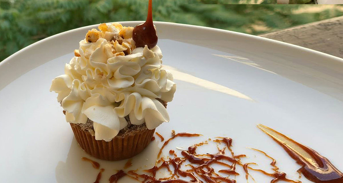 fancy cupcake with chocolate drizzle
